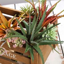 Orange Burgundy Green 12" Aloe Faux Succulent Sprays Stems Wedding Centerpieces