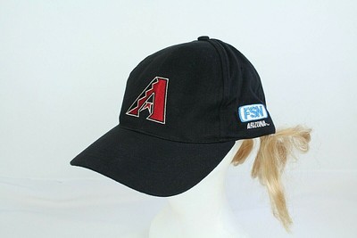 Arizona Diamondbacks Stadium Fan 