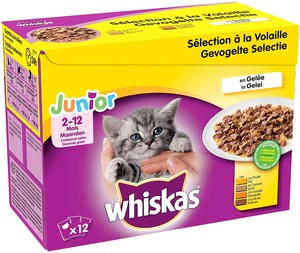 Whiskas Junior Sachets Fraicheur Jeune Chat Chaton Selection Mixte Gelee Repas Ebay