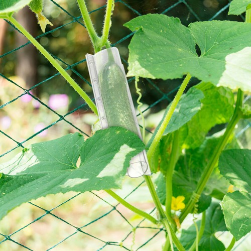 4 Stück Obst Wachstumsform Gemüse Anbauwerkzeuge Kunststoff Seegurke Sternform - Bild 2 von 5
