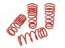 Skunk2 Racing Performance Lowering Springs For Honda S2000 S2k Ap1 Ap2 00-09 New Skunk2 Racing Performance Lowering Springs For Honda S2000 S2k Ap1 Ap2 00-09 New