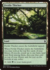 Fertile Thicket Set: Battle for Zendikar - LP
