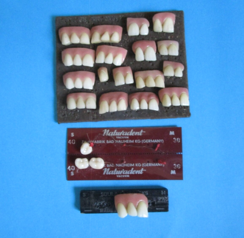 Vintage  1900's Ceramic Prosthetic Teeth Medical Dental Curiosity Cabinet - #4 - Picture 1 of 1