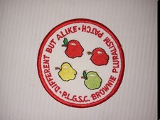 Vintage Different But Alike Brownie Plurarlism PA COUNCIL PATCH,Girl Scouts 185