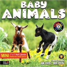 Baby Animals 2026 Mini Wall Calendar 12 Month | 7" x 14" Open | Thick & Sturd...