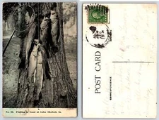 Lake Okoboji Iowa STRINGER OF FISH ROD REEL NET Postcard R187