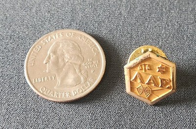 Lambda Alpha Epsilon Fraternity Pin 10k Gold Filled