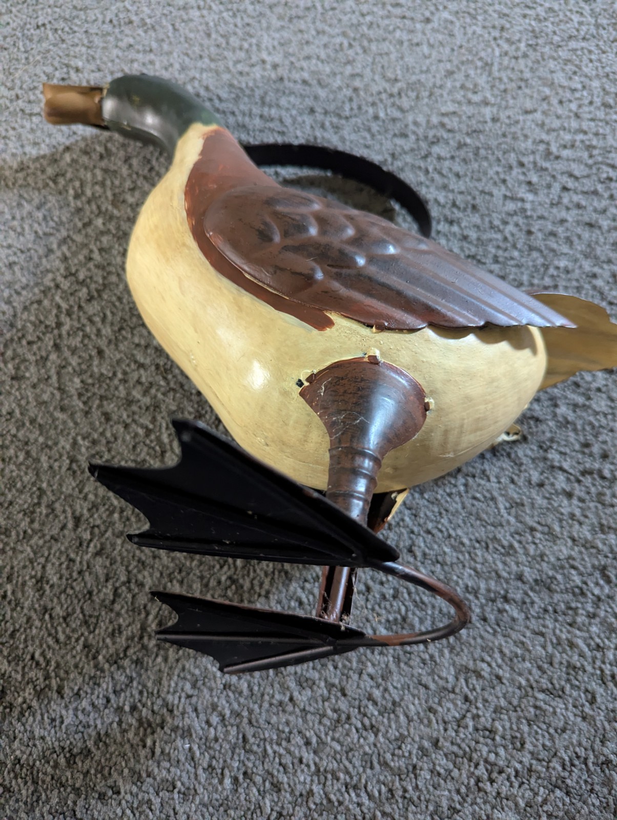 Picture 6 of 15