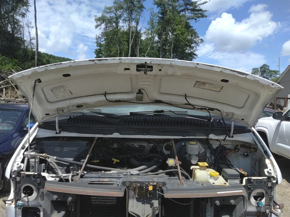 00 DODGE VAN 3500 SERIE Hood Paint Peeling Foto 2 de 4