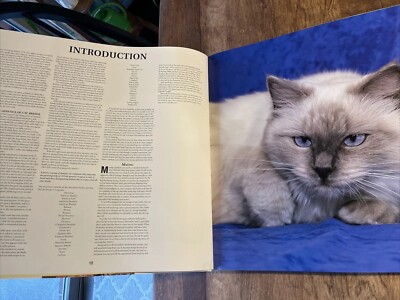 その他 Cats Caterpillar D8800 marine engine parts catalog manual 1N8001 and up