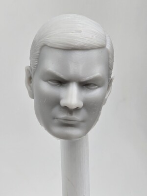 3d Printed Wasteland LONE WANDERER HEAD 1:12 6'' Classified/ Legend Compatible 