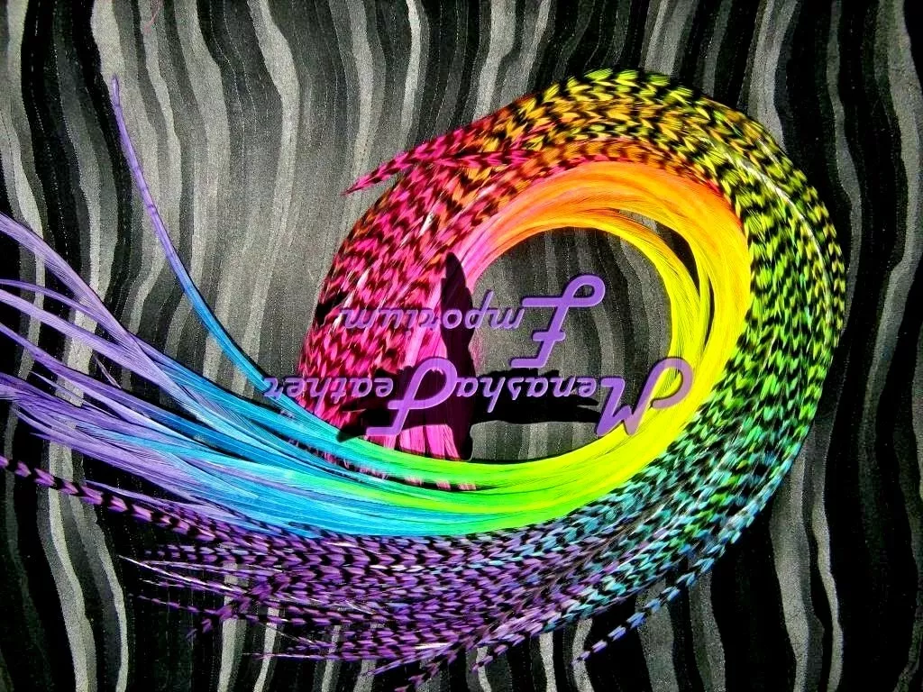 feather hair extensions long RAINBOW Tie Dye Whiting Grizzly