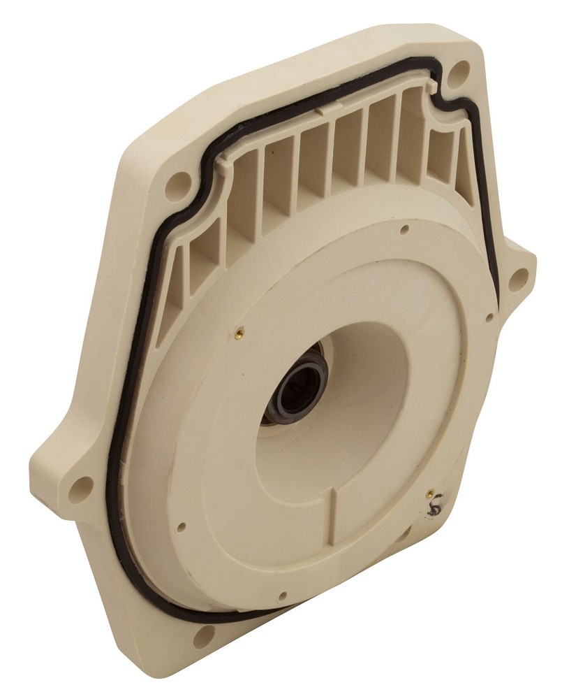 Pentair 350199 WhisperFlo Almond-Color IntelliPro Seal Plate Test w/ Gasket Kit