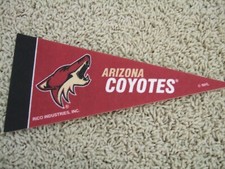 Arizona Coyotes NHL Hockey Team Mini 9
