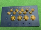Very  Rare Lot Of  1880s Sons of  Veterans  Buttons   4 coat and 10 cuff
