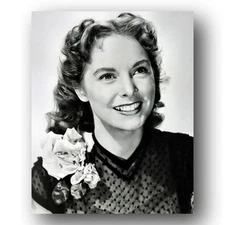 Janet Leigh actress stunning Hollywood portrait soft smile 8x10 Photo