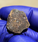 NWA 2907 Ungrouped Achondrite Meteorite 1.544g Part Slice Rare COA — photo 6