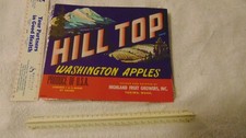 DEALER LOT OF 50 VINTAGE HILLTOP WASHINGTON APPLES CRATE   LABELS