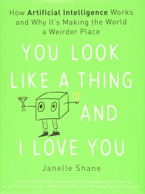 You Look Like a Thing and I Love You: How Artificial Intelligence Works and ...