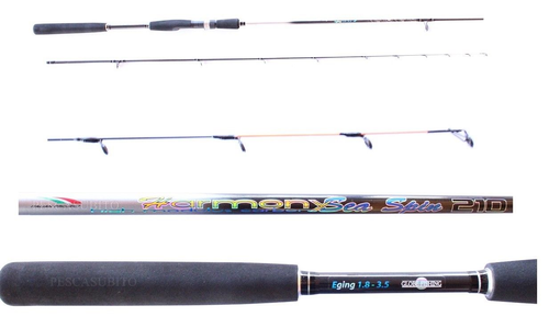 Canna Per Seppie Lenza Pronta Pesca Surf Casting Terminale