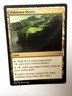 MTG Unknown Shores NM Various Sets Common English