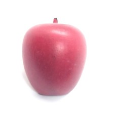 Red Apple Fruit Pin Wooden Teacher Classroom Reward Lunchbox Backpack
