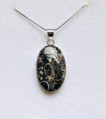 Atemberaubender Turritella Fossil Achat oval 925 Silber Anhänger an 925 Silber Kette
