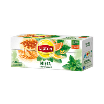 8720608010424 LIPTON CITRUS MINT 20SER PL LIPTON TEAS AND INFUSIONS POLAND Sp. z