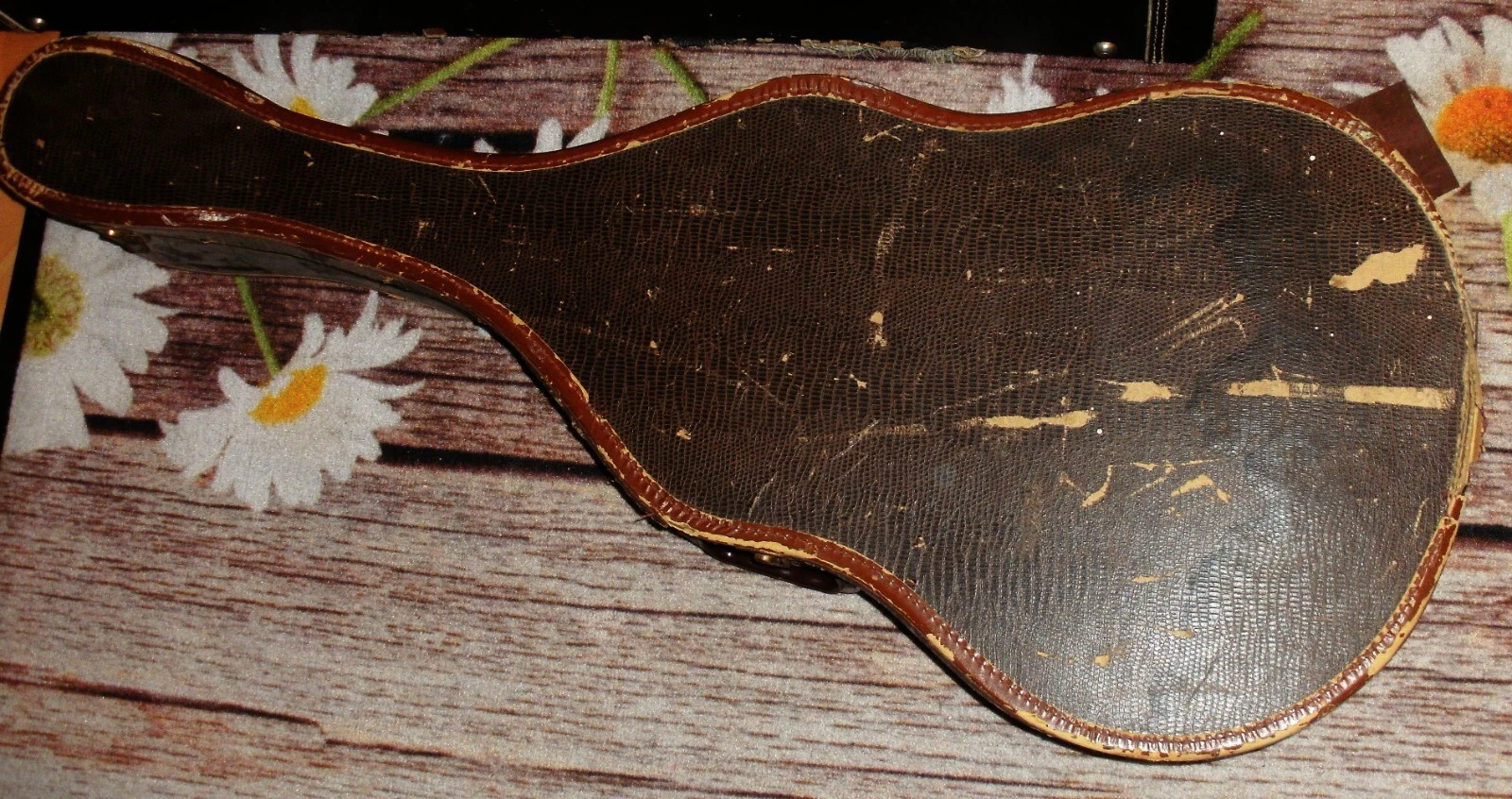 Picture 5 of 12