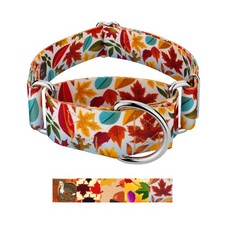 Country Brook Petz  HossFit Jr Wide Martingale Dog Collar
