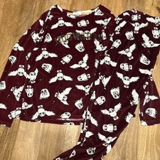 Harry Potter Pajama Set Womens Large Red Hogwarts Owl Print Holiday Cozy