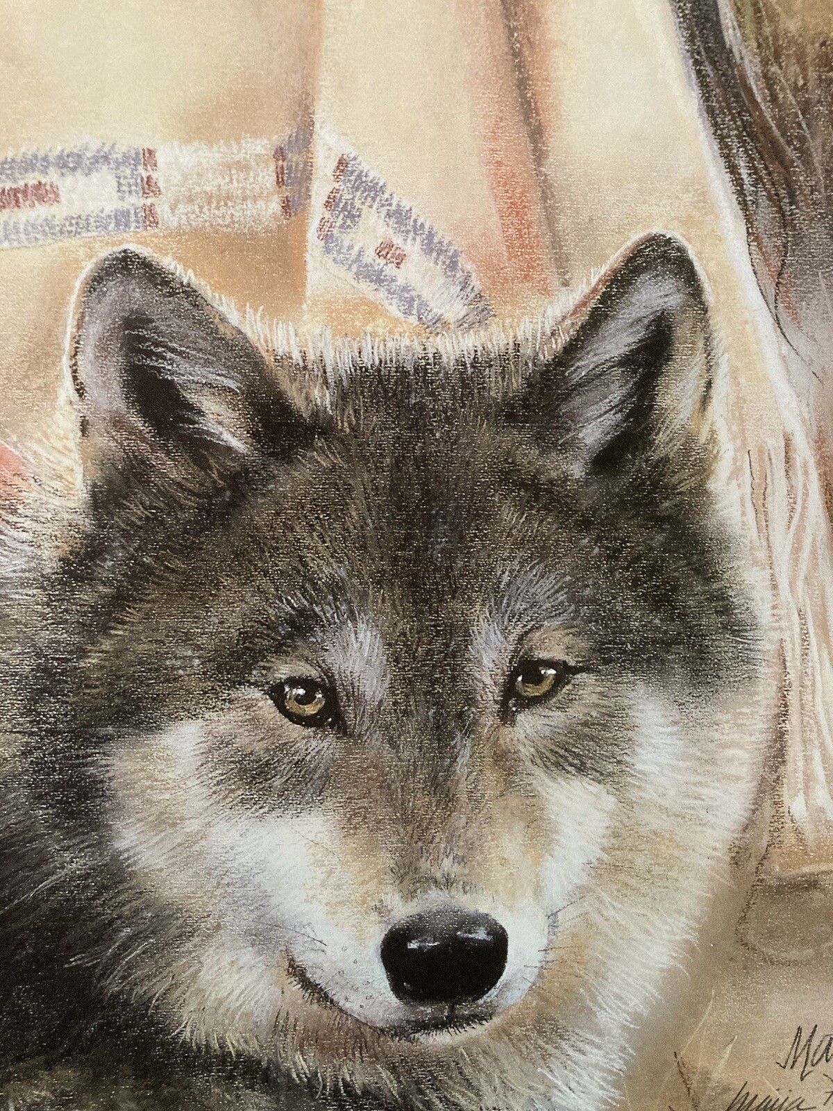 Picture 7 of 7