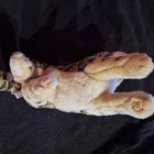 Foto 2 di 5