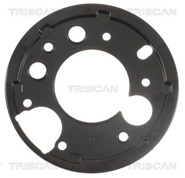 Triscan Spritzblech Bremsscheibe Ankerblech Abdeckung Hinten Links 8125 23212-image