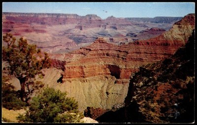 Postcard View from a Point on the South Rim of the Grand Canyon, AZ   Chrome
