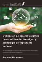 UtilizacióN De Cenizas Volantes Como Aditivo Del HormigóN Y TecnologíA De...