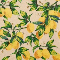 20 Servietten Aus Recycling-Papier Citrus Branches Eco Zitronenzweige 33X33Cm
