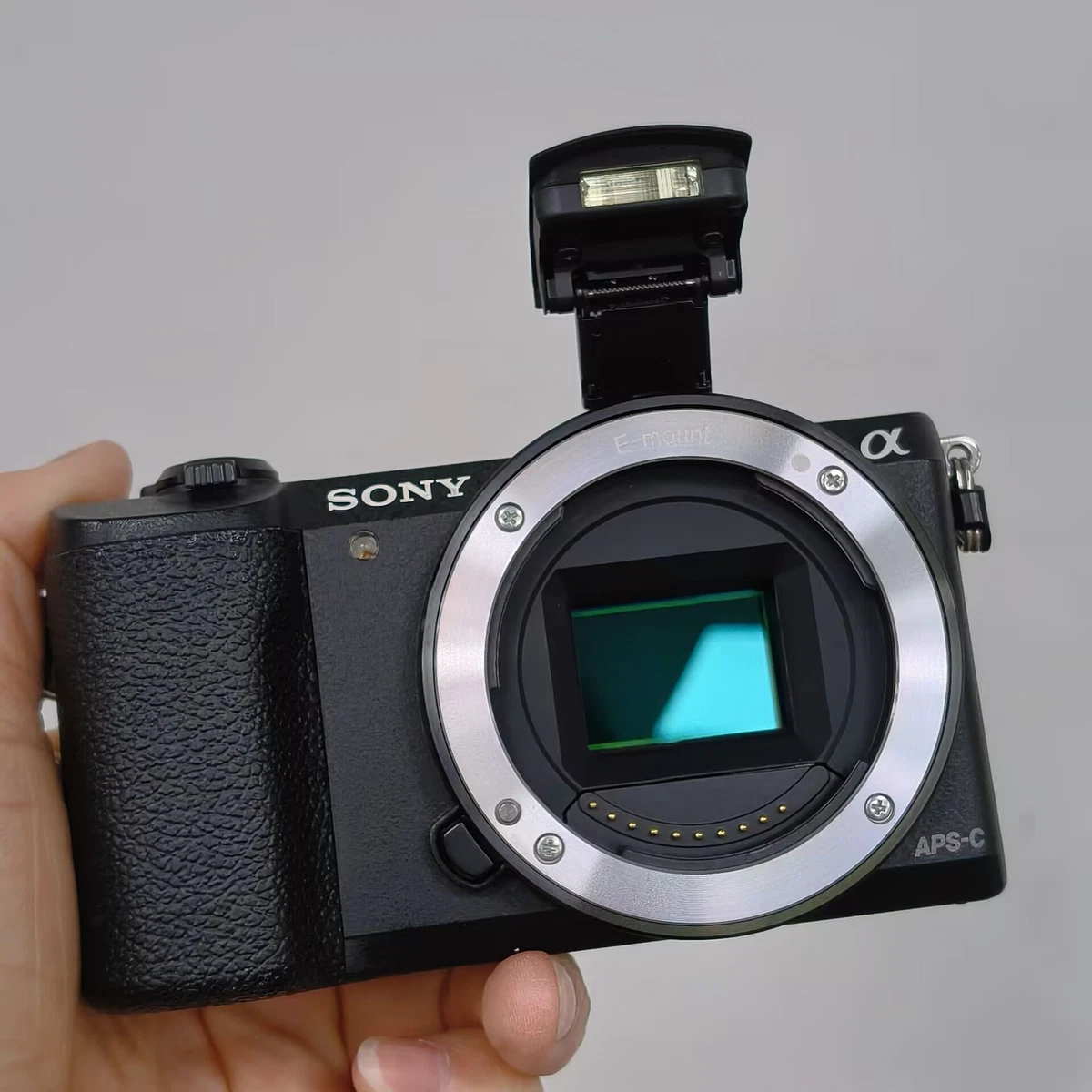 Sony Alpha A5100 3-9.9x Digital Cameras for Sale | Shop New & Used