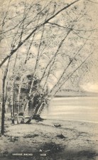 Lakeside BIrches Black & White American Art Postcard