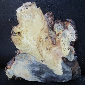 Buckeye wood Natural Edge Slab Crafts  #D678  10 3/4" x 12" x 1 1/4"
