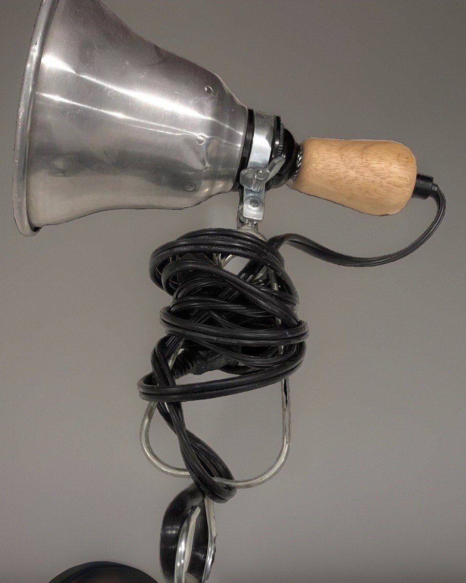 Testrite Fotolite with Reflector Vintage | eBay