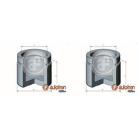 2X Autofren 43Mm Kolben Bremssattel Vorne Passend FüR Audi 100 A4 A6 A8 Allroad