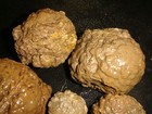 10  SMALL OLD MIXED WHOLE THUNDER EGGS  1  1/2    POUNDS   OREGON — photo 2