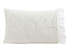 POTTERY BARN TEEN HARRY POTTER HEDWIG POST FEATHERS JACQUARD Standard Sham NWOT