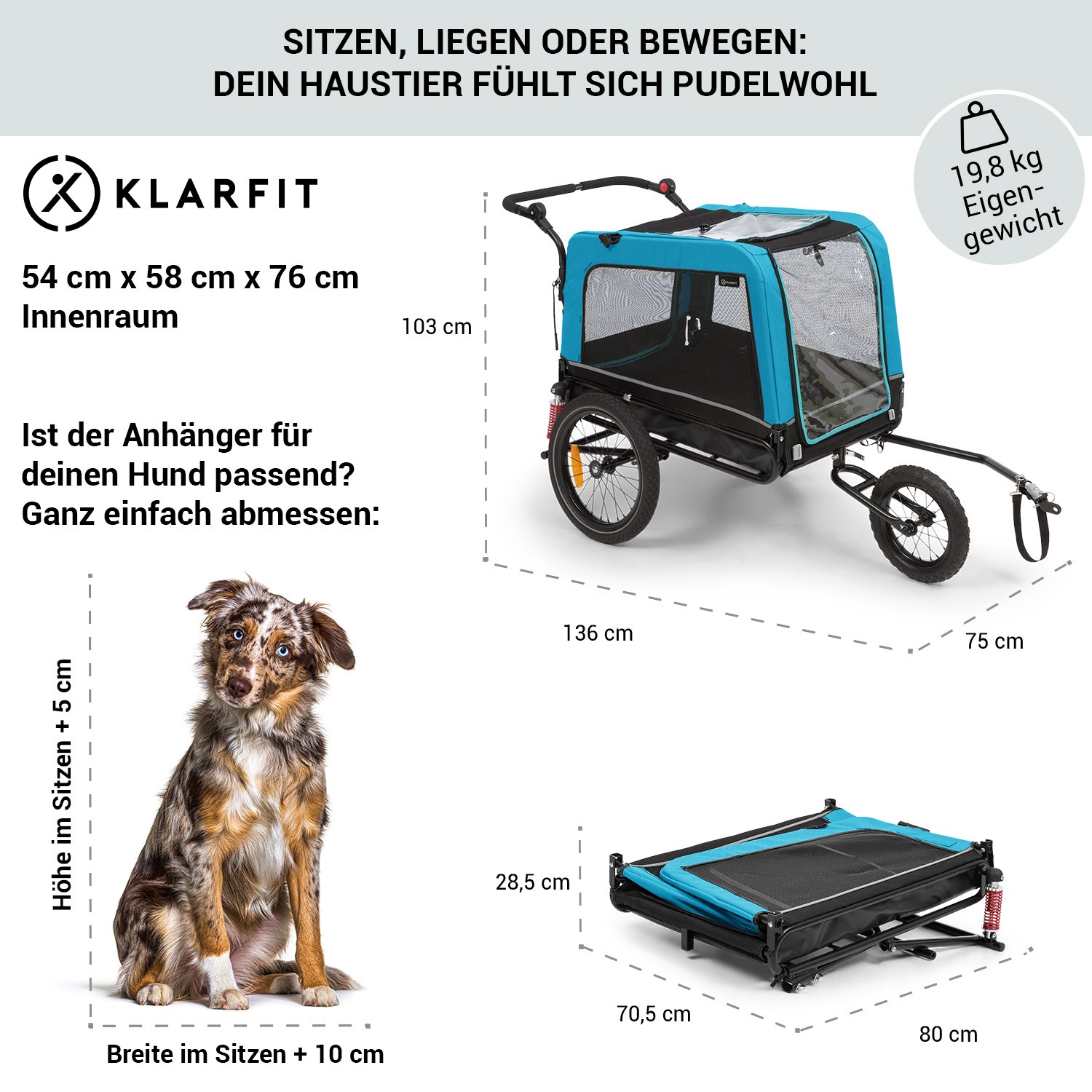 Bild 10 von 11