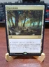MTG: Forbidden Orchard RARE #323, NM Japanese Double Masters 2022 Land Card!!