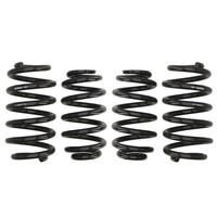 Fahrwerksatz, Federn Eibach Pro-Kit E10-15-003-14-22