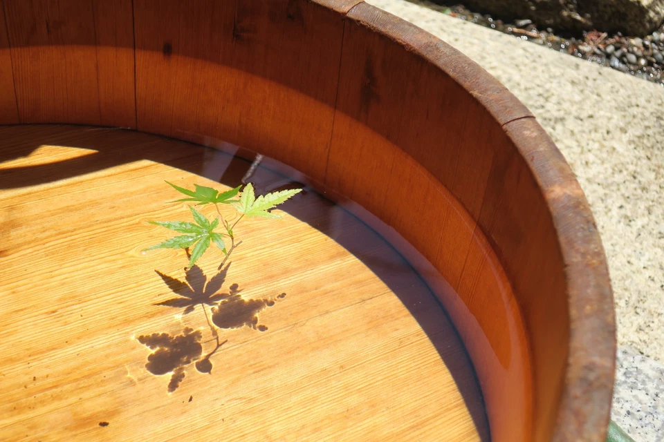 [ MINT ] Canon PowerShot SX620 HS 20.2MP BK Digital camera English OK From JAPAN - Image 2 of 4