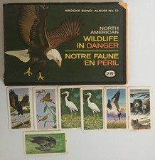 BrookeBond NA Wildlife in Danger RedRose Tea Album #13 1970 Wildlife Federation