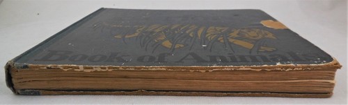 OLIVER HERFORD'S BOOK OF ANIMALS, by Oliver Herford - 1906 - Picture 11 of 12